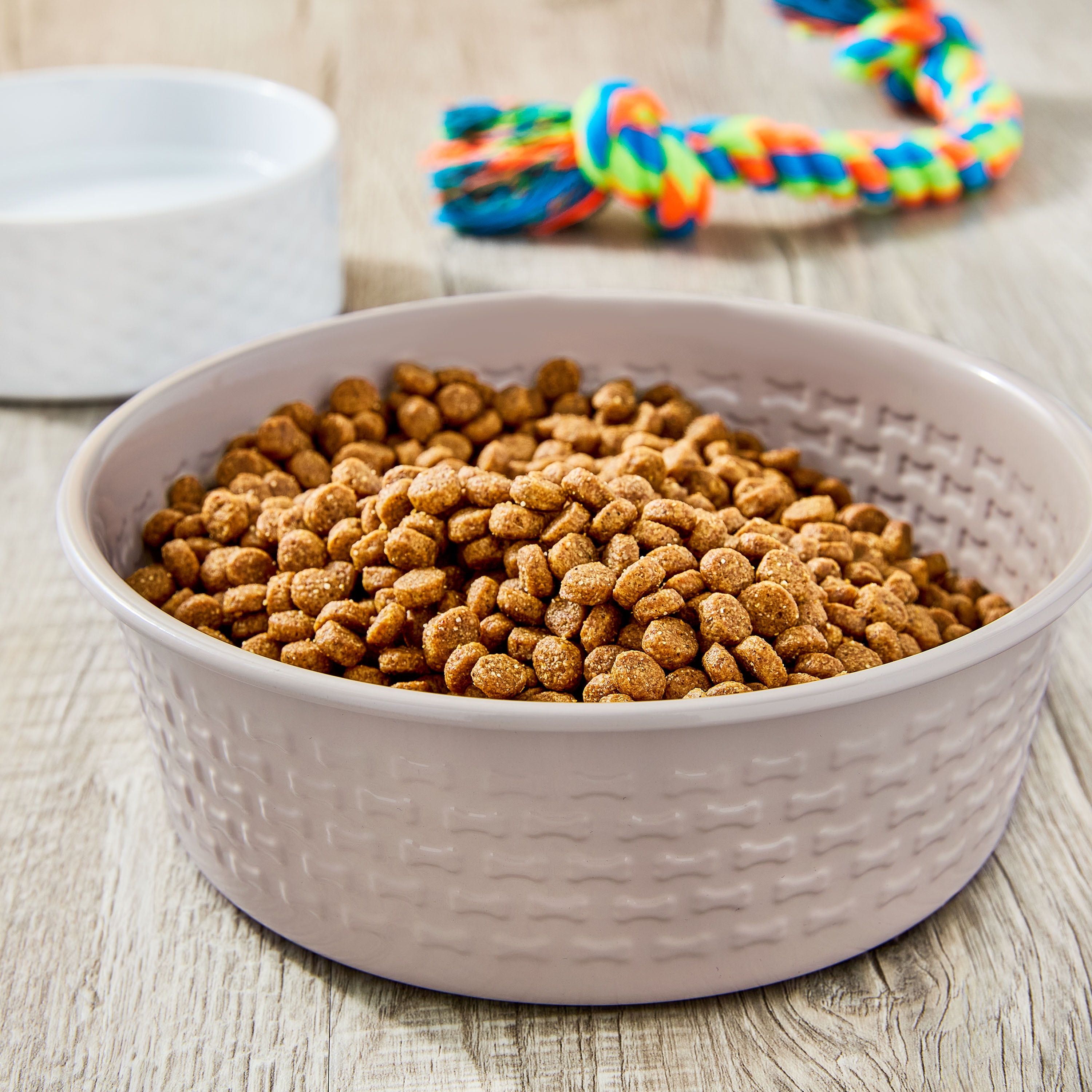 Vibrant Life Large Stainless Steel Embossed Dog Bowl, Off-White Bones