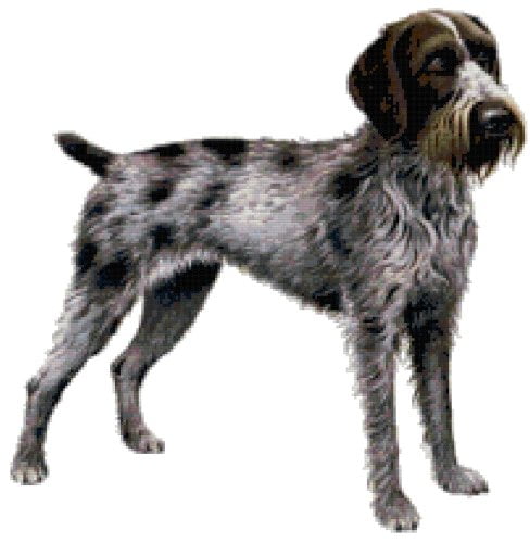 german wirehaired pointer stuffed animal