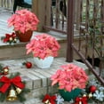 thumbnail image 5 of 5 Head Artificial Poinsettia Christmas Flowers | Fake Floral Arrangement for Home Decor | 2 Pack Red & Green Bouquets for Indoor Vase & Holiday Decorations, 5 of 6