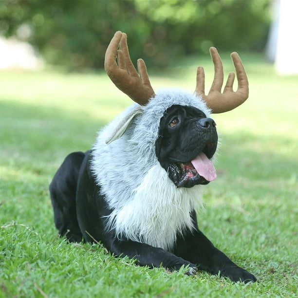 FFIY Funny Dog Halloween Costumes, Cute Furry Pet Wig for