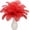 Red, variant on Piokio 40 pcs Red Ostrich Feathers 12-14 inch(30-35 cm) Bulk for Wedding Party Centerpieces, Gatsby Decorations and DIY Clothes Decoration