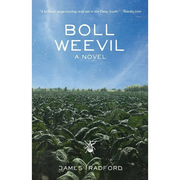 Boll Weevil, (Paperback)