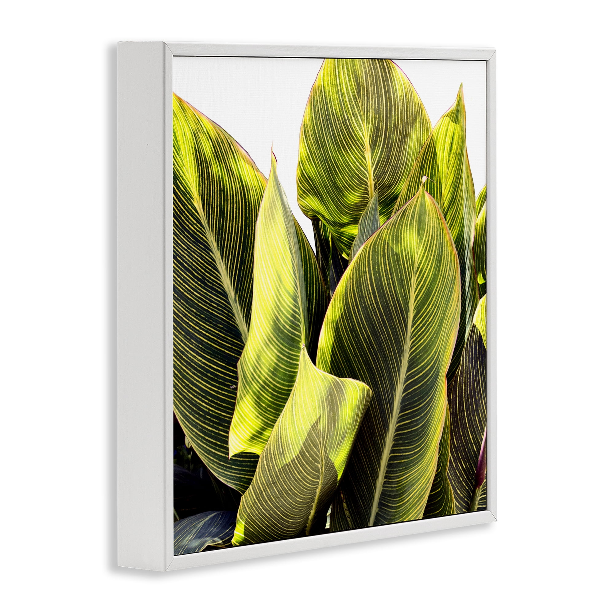 Stupell Industries Bright Tropical Leaves Botanical & Floral Painting White Framed Art Print Wall Art, 17 x 17