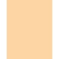thumbnail image 4 of Sparco 3-Part Coat Check Tickets, 4 of 4