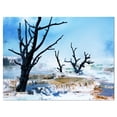 thumbnail image 2 of Beautiful Land with Large Dry Trees - Extra Large Landscape Canvas Art, 2 of 3