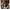 Cow Print-1, variant on Cowhide Window Curtains, Brown Cow Print Farm Animal Fur Skin Blackout Window Drapes Western Cowboy Farmhouse Window Treatments Living Room Bedroom Decor 2 Panels Set42x54 Inch