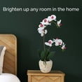 thumbnail image 4 of Home Accents 22-inch Artificial Real Touch Phalaenopsis Orchid in Cement Pot, White/Pink, 4 of 7