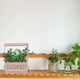 thumbnail image 5 of Flores falsas, suculentas de simulación, plantas en macetas, adornos creativos de moda, flores, plantas verdes artificiales, 5 of 5