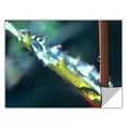 thumbnail image 2 of Dean Uhlinger After Garden Rain, Art Appeelz Removable Wall Art Graphic, 2 of 2
