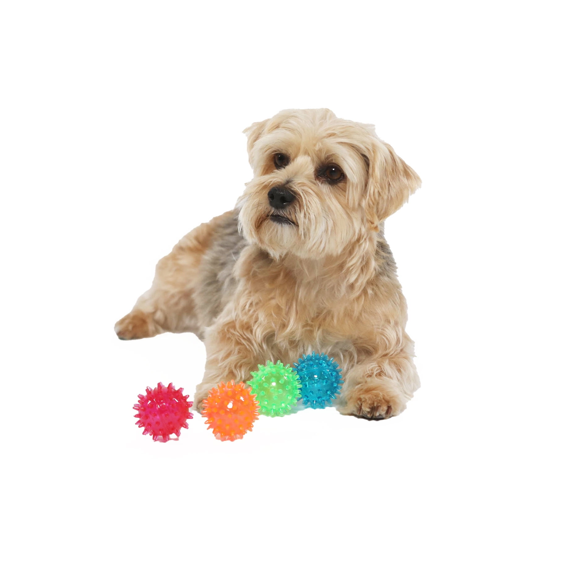 Vibrant Life Fetch Buddy Spiky Ball Fetch Dog Toys, 4-Pack Small, Color May Vary, Chew Level 2