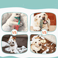 thumbnail image 5 of Juguetes De Cuerda Para Mascotas Morder Paquete De 10 Piezas, 5 of 5