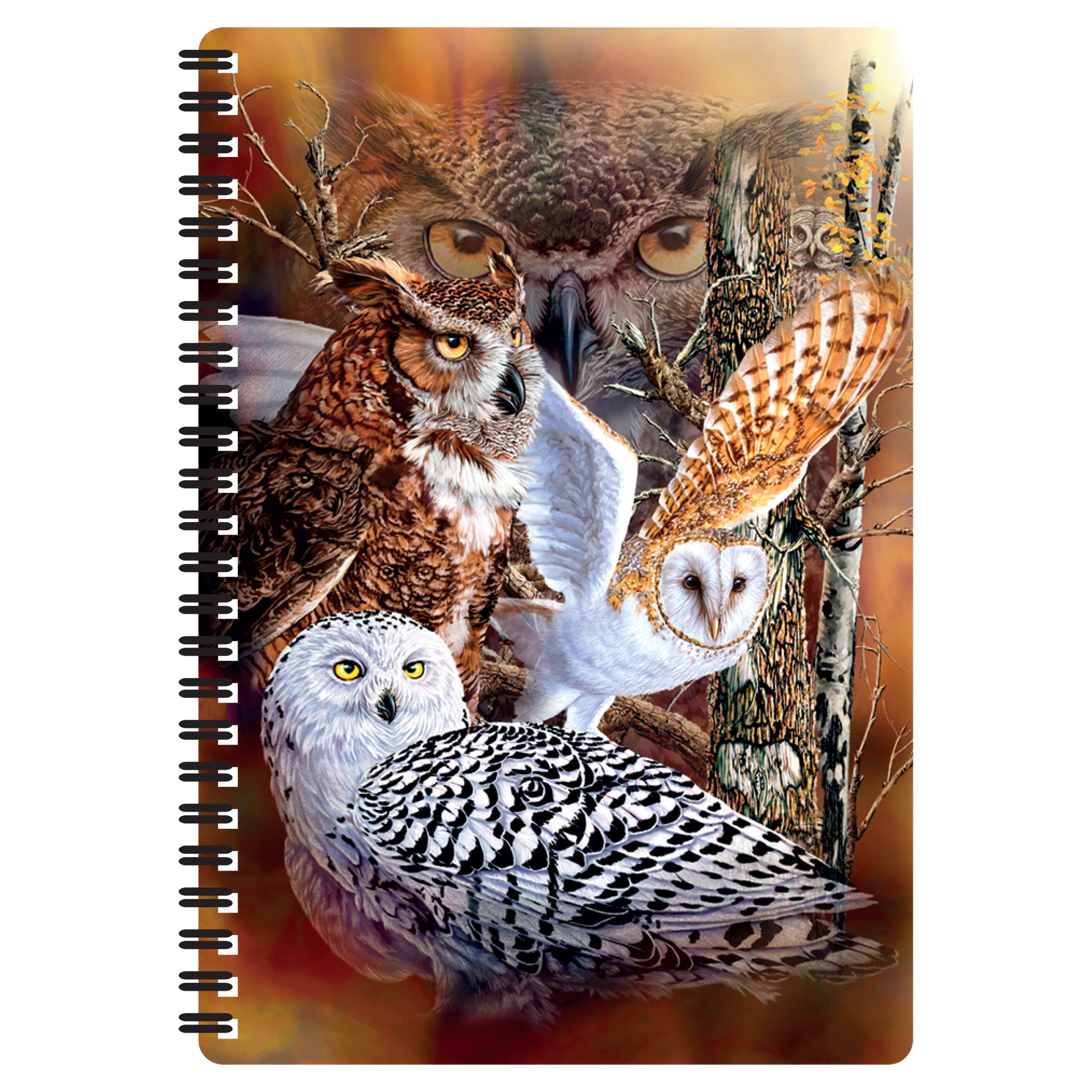 3D LiveLife Notebook - Owl Woods from Deluxebase. 80 Page Lined ...