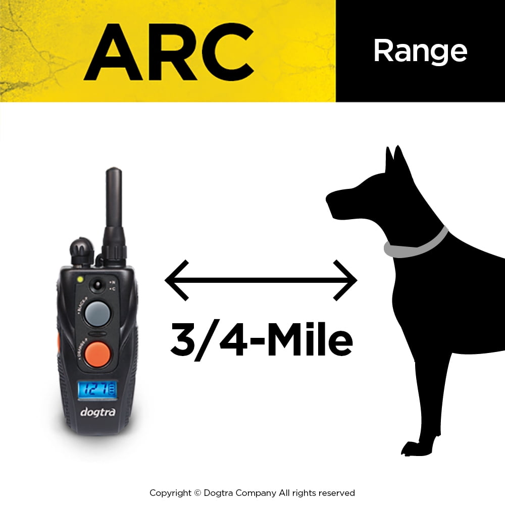 Dogtra Advanced Tech Training Electronic Collar and Remote for Dogs 15+ Pounds