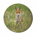 thumbnail image 1 of Fox Mouse Pad for Computers, Photo of a Young Curious Coyote on Green Meadow, Round Non-Slip Thick Rubber Modern Gaming Mousepad, 8" Round, Olive Green Cinnamon, by Ambesonne, 1 of 2