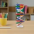thumbnail image 4 of Toddmomy Dna Rna Model Kit Dna Double Helix Model for Education and Teaching Aid 1 Set, 4 of 8