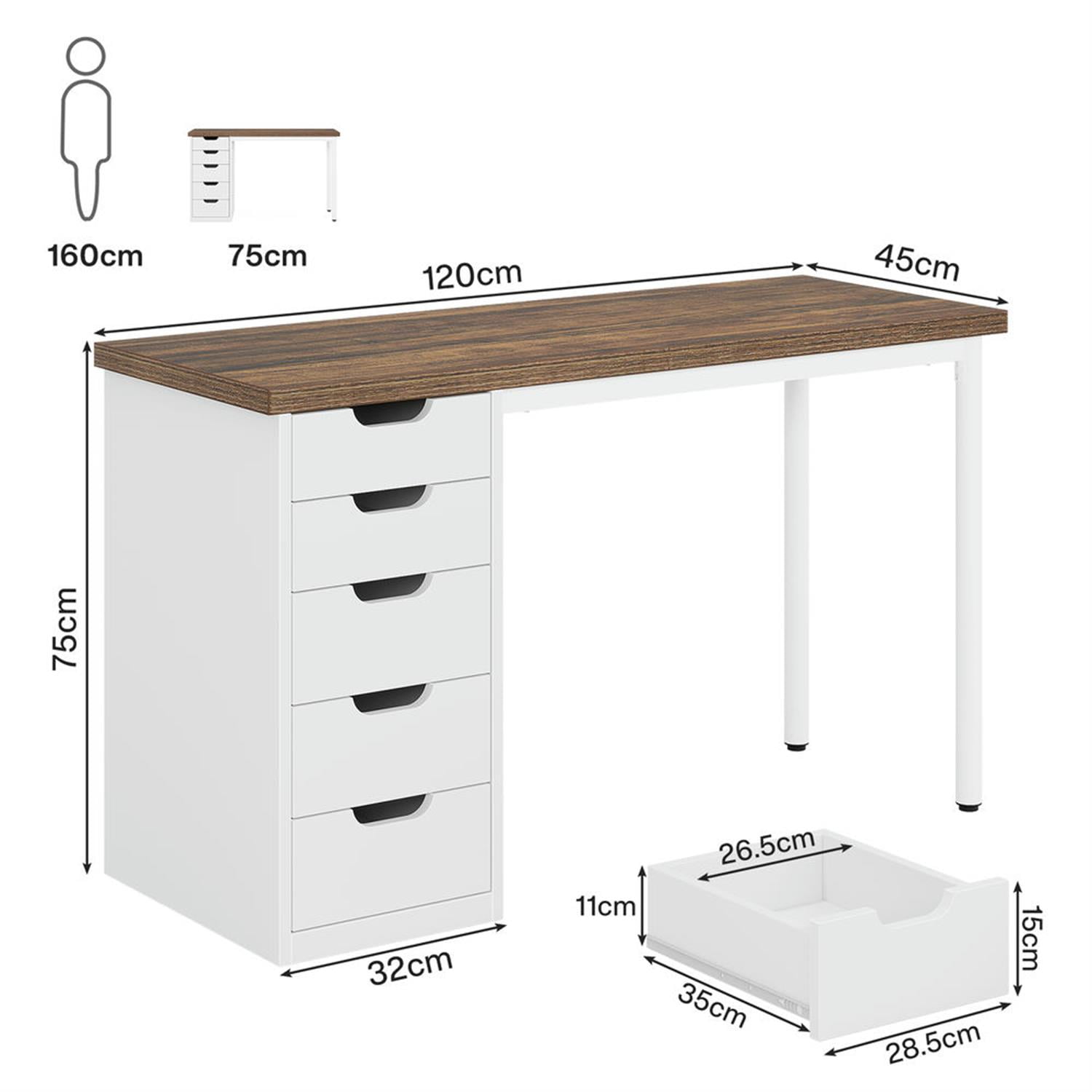 Demi Bonn 47" Computer Desk with 5 Drawer, Modern Study Writing Gaming Table for Home Office, White