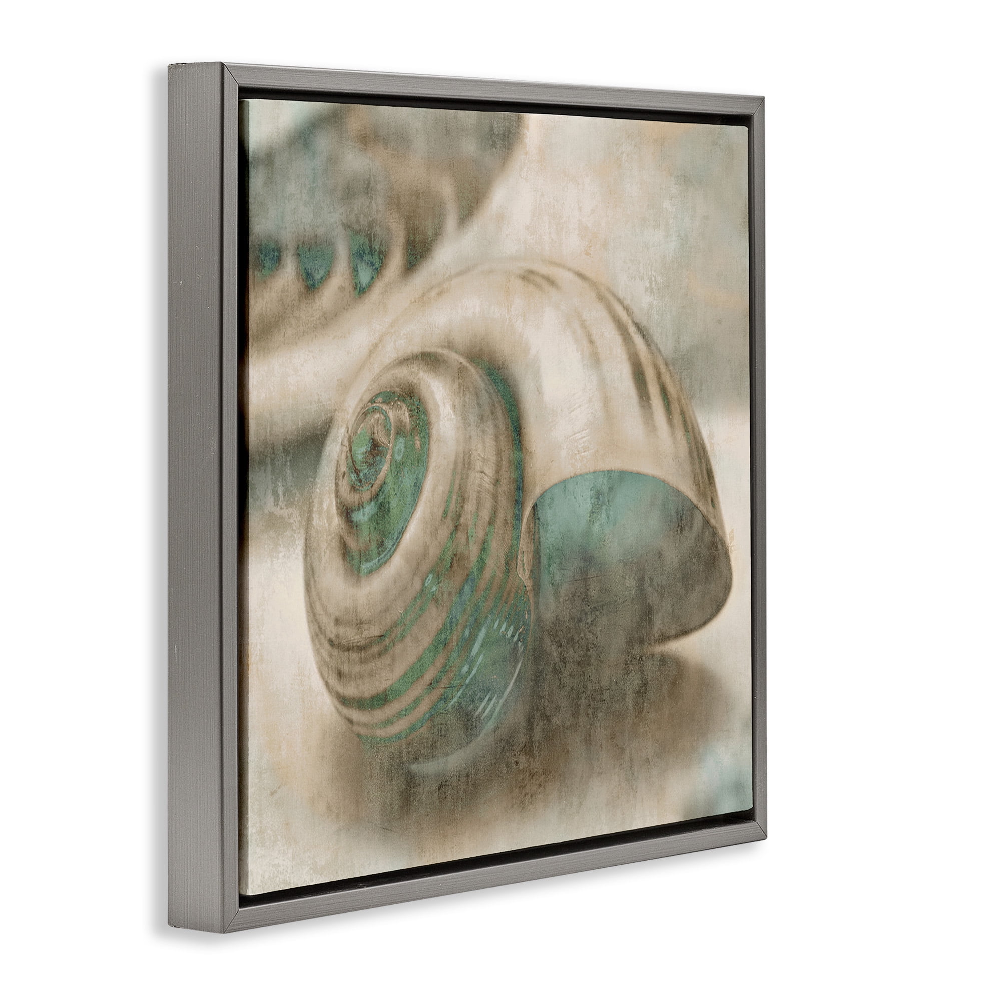 Stupell Industries Centered Sharkeye Seashell Nature Photography Gray Floater Framed Canvas Art Print Wall Art, 25 x 25