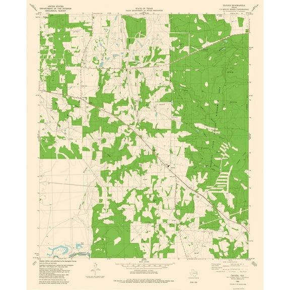 Topographical Map - Cayuga Texas Quad - USGS 1982 - 23 x 28.14 - Vintage Wall Art