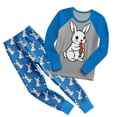 thumbnail image 2 of RMGVDSD Little Boy Clothes Easter Bunny Egg Print Pajamas Long Sleeve Tops And Pants Cozy Sleepwear For Boys Girls Holiday Matching Outfits Kids Clothing Sets, 2 of 5