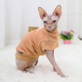 thumbnail image 5 of Pet Cat Clothes Autumn And Winter Warm Cat Clothes, 5 of 5