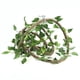 thumbnail image 3 of Rama Flexible para Reptiles ANGGREK 3 Enredaderas con Ventosas, 3 of 8