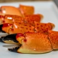 thumbnail image 2 of Today Gourmet Florida Stone Crab Claws - Medium (5-8 Claws per lb.) - Fresh Never Frozen (2lbs), 2 of 6