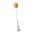 View all media