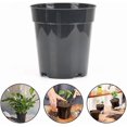 thumbnail image 3 of Transparent plastic plant pots for home and garden, set of 10, designed for various plant species (7.6 cm / 3 inches)., 3 of 5