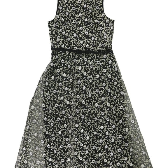 Ralph Lauren Womens Floral Embroidery Shift Dress, Black, 0