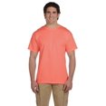 thumbnail image 1 of Adult HD Cotton T-Shirt, 1 of 1