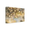 thumbnail image 2 of Trademark Fine Art 'Blush Blossoms II Pastel' Canvas Art by Sue Schlabach, 2 of 3