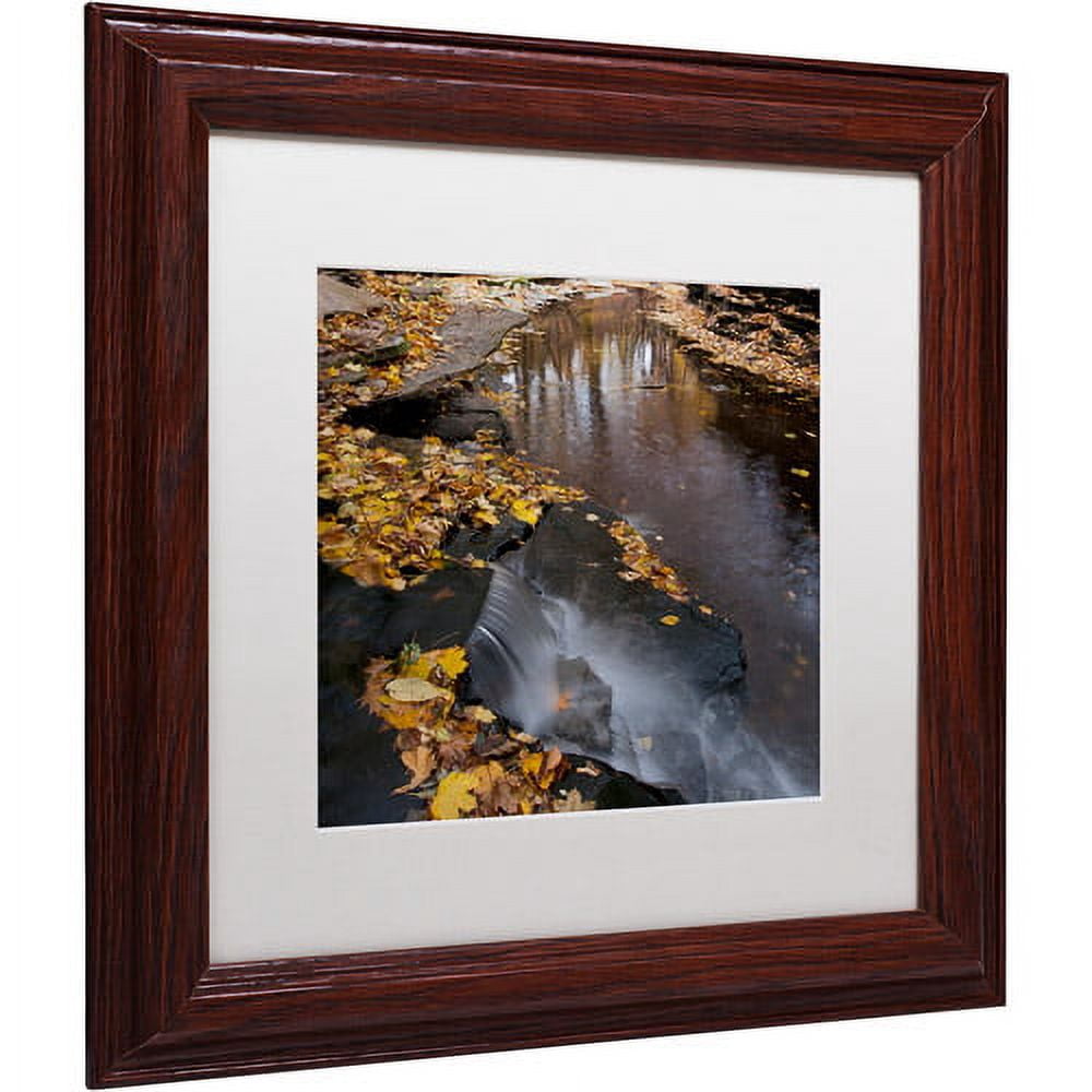 Trademark Fine Art "Lakeview Autumn Waterfall #2" Canvas Art by Kurt Shaffer White Matte, Wood Frame