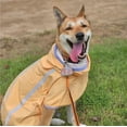 thumbnail image 1 of Xiao Hua Chubasquero impermeable para perros, ajustable, reflectante, ligero y resistente a la lluvia (M, amarillo), 1 of 4