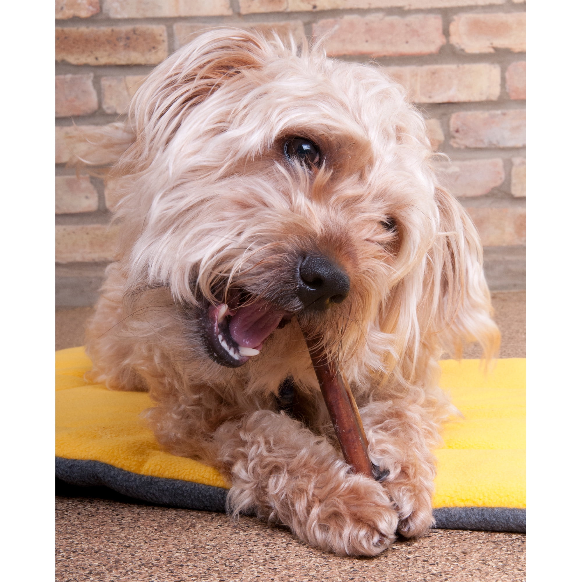 Downtown Pet Supply Jumbo Bully Sticks For Dogs 6" Thick Bully Stick 24 Pack