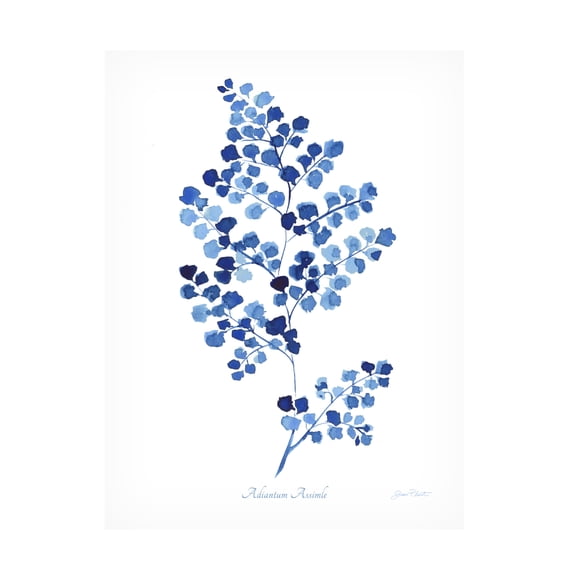 Canvas Wall Art - Jean Plout 'Indigo Botanical 1' Wall Art for Living Room, Bedroom, or Office Décor by Trademark Fine Art - 14 x 19 Inches
