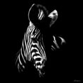 thumbnail image 2 of Chapman, Julie T. 20x20 White Modern Wood Framed Museum Art Print Titled - Wildlife Scratchboards V, 2 of 4
