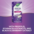 thumbnail image 6 of Nature's Way Sambucus Kids Elderberry Immune Syrup*, with Echinacea, Dietary Supplement, 4 floz, 6 of 9