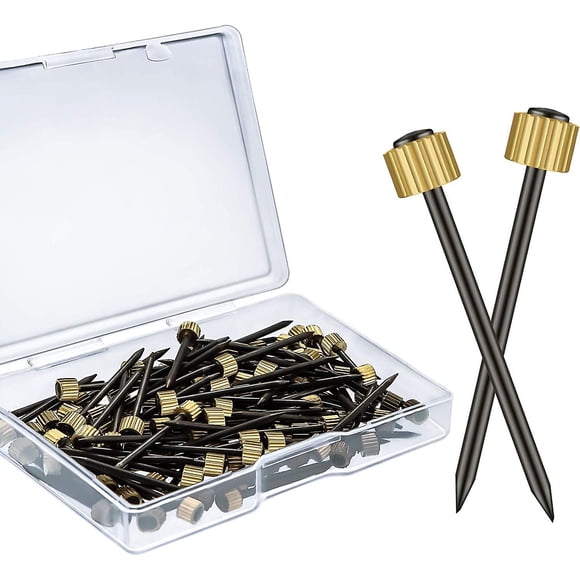 Nails for Hanging Picture Painting, Hanging Hardware Gold Nails Kit Picture Hangers Holds Up to 5-30 lbs, 0.05 Inch (20pcs)