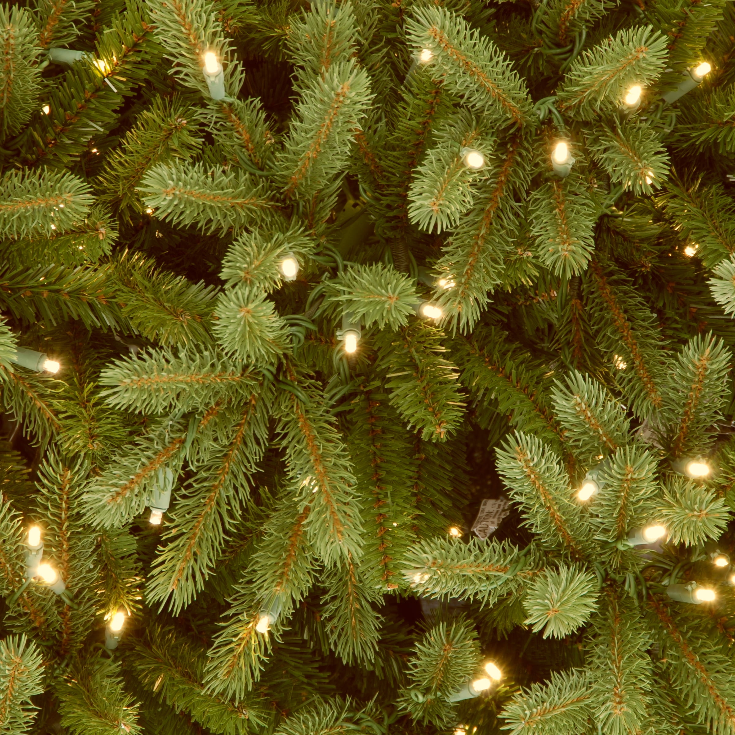 national tree 6.5 foot jersey fraser fir medium tree