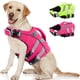 thumbnail image 1 of Chaleco salvavidas para perros Kuoser para nadar, color rosa XXL, 1 of 7
