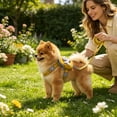 thumbnail image 5 of Ainf Backpack Harness With Pockets – Cute Soft Backpack With Adjustable Leash And Snack For Small And Cats 2 10kg, 5 of 5