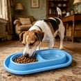 thumbnail image 6 of Double Tray Cat Food Bowl with Anti-Spill Design Non- Split Feeder for Food and Water Compact Pet Dish Set for Small Medium Cats, 6 of 7