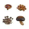 thumbnail image 2 of Juguete de simulación del ciclo de crecimiento de los hongos CUTICAT Material didáctico Hongos marrones, 2 of 8