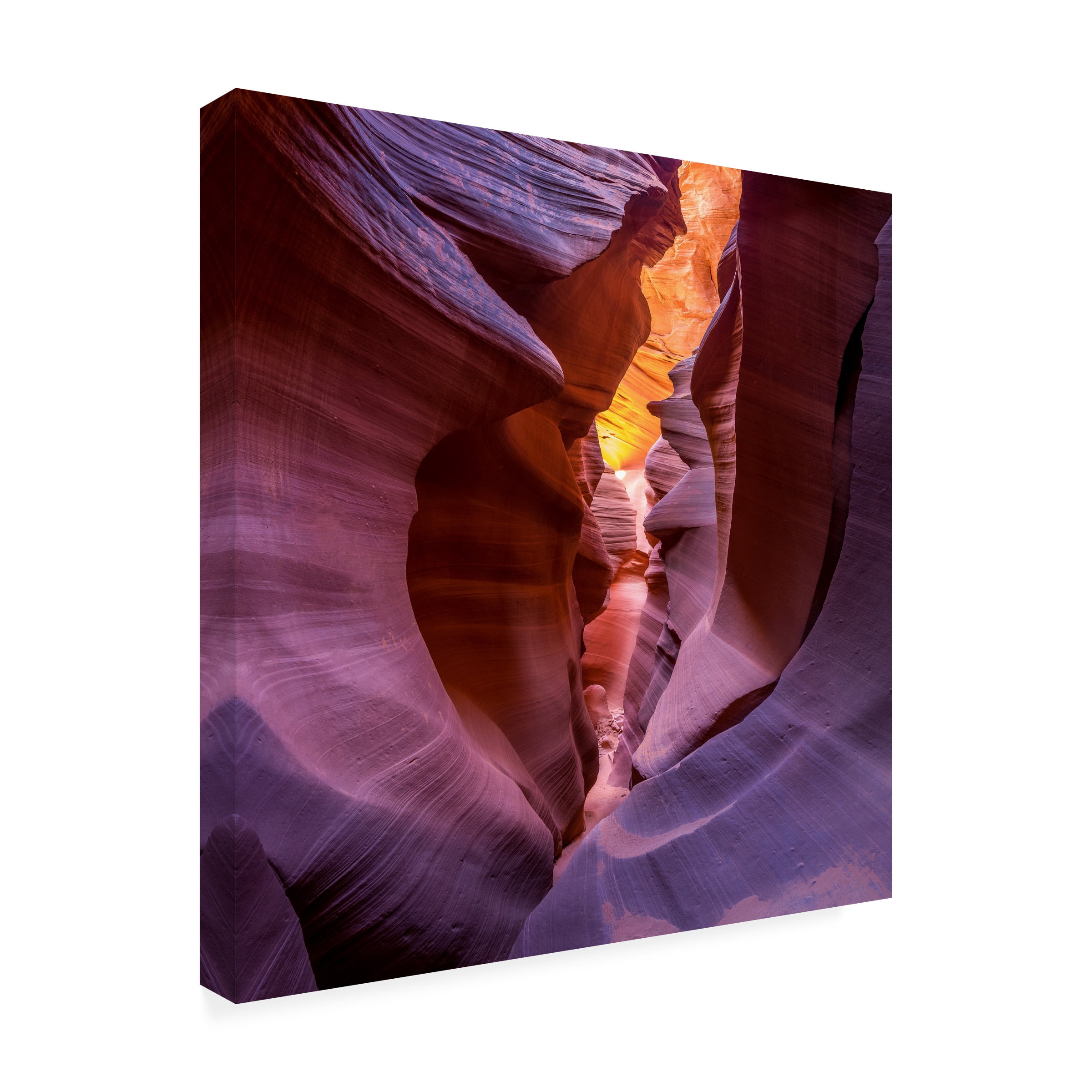 Sandipan Biswas 'Fire In Canyon' Canvas Art