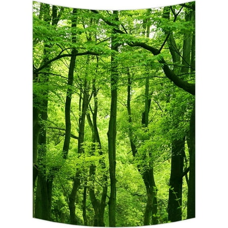 Dreams Wall Tapestry GCKG Dream Amazing Beautiful Fresh Green Forest Wall Art Tapestries Home Decor Wall Hanging Tapestry Size 51