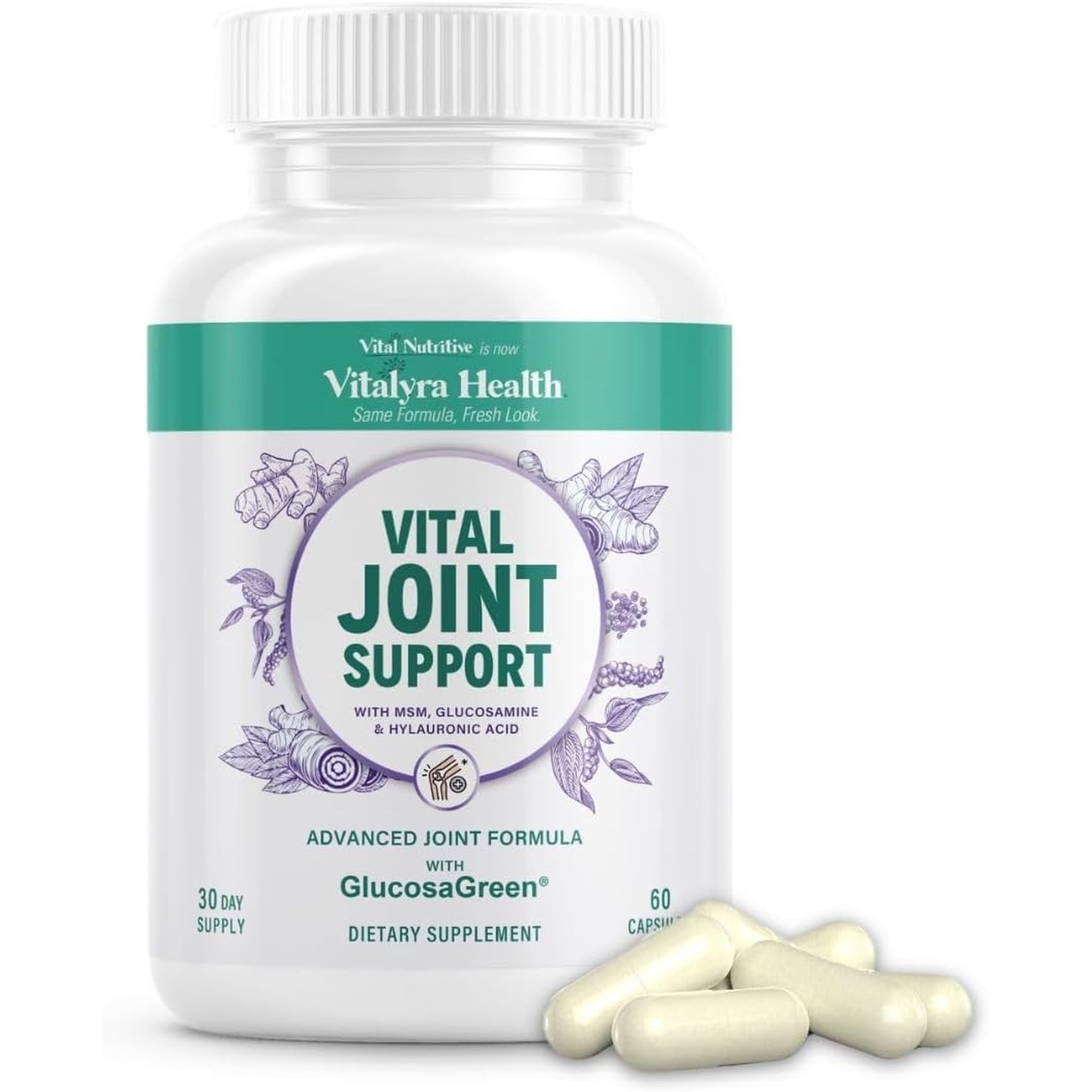 Vital Nutritive Joint Support – Daily Joint Health Supplement for Men and Women – Natural Support with Turmeric – 30-Day Supply