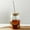 B, variant on 16.9 oz Coffee Drinking Glass Cups-Transparent Water Juice Bubble Tea Milk Beer Cup With Lid and Straw,Simple Drinkware Ribbed Coffee Glass Mug