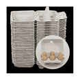 40 Pieces Paper Egg Cartons for Chicken Eggs Pulp Fiber Holder Bulk