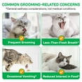 thumbnail image 5 of Cat Grass Sticks for Teeth Cleaning & Hairball Removal, Edible Cat Treats, Chicken Flavor 1.12 OZ, 5 of 11