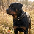thumbnail image 4 of DowgClub Leather Dog Collar with Double D Rings - Handmade Full Grain Leather for Extra Large Dogs, Black, 4 of 7